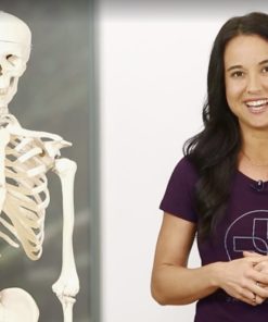 Yoga Anatomy with Yoga International Online Course