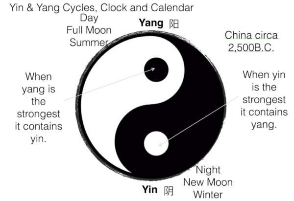 Yin Yang Tattoo Meaning - wide 9
